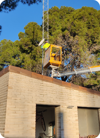 servicios complementarios de jardinería en Zaragoza